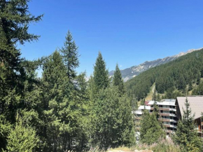 Résidence Bois Du Fau - T2 vue sur les pistes et Montagne Eyssina au centre de Vars les Claux MAE-7721